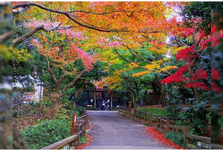 上野公園（上野恩賜公園）