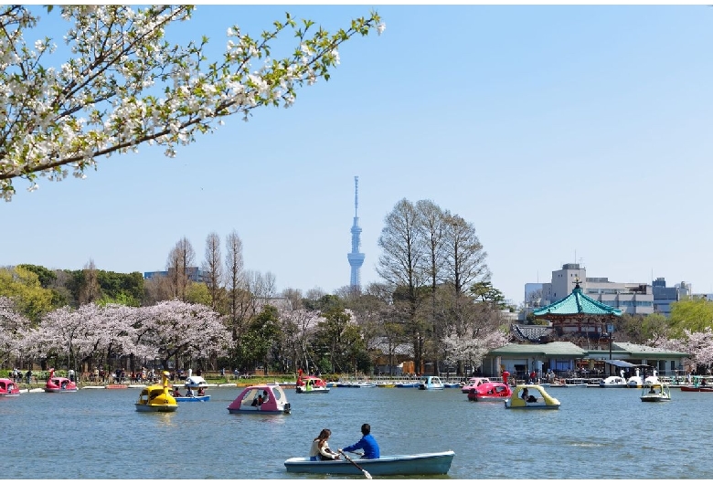 上野公園（上野恩賜公園）