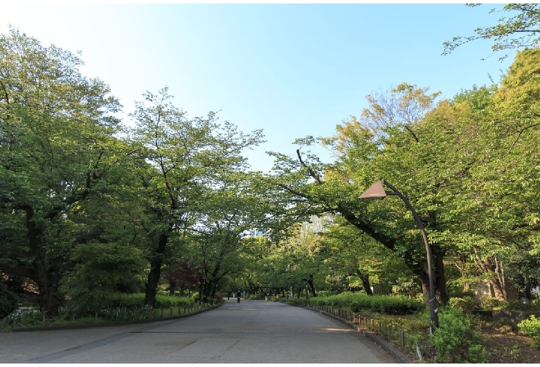 上野公園（上野恩賜公園）