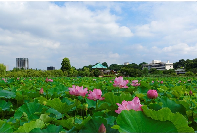 上野公園（上野恩賜公園）