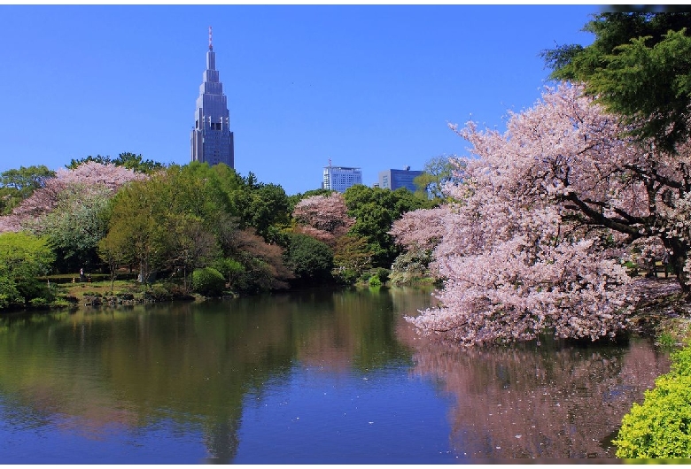 新宿御苑