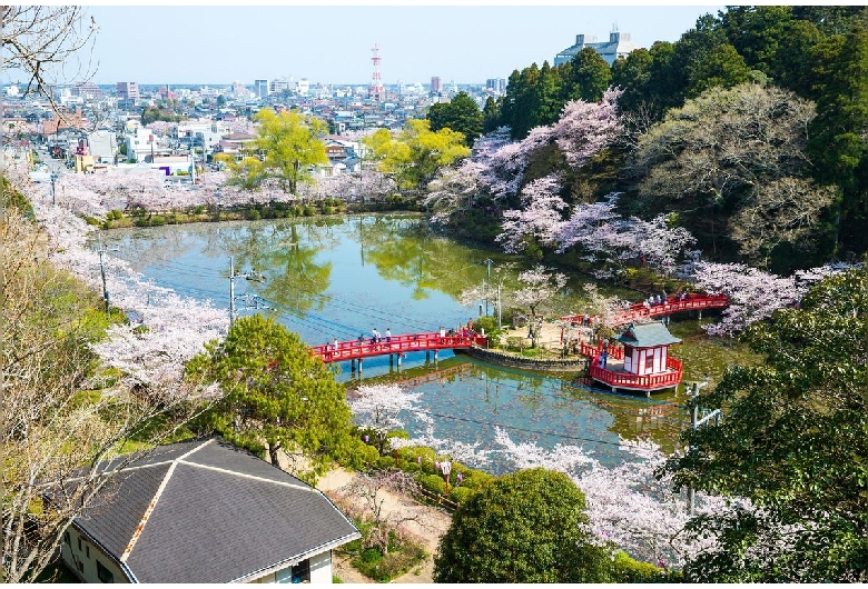 茂原公園