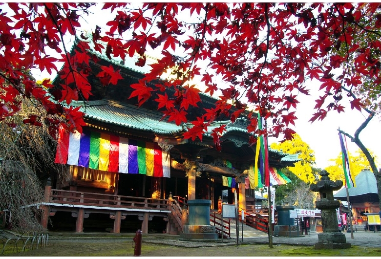 鹿野山神野寺