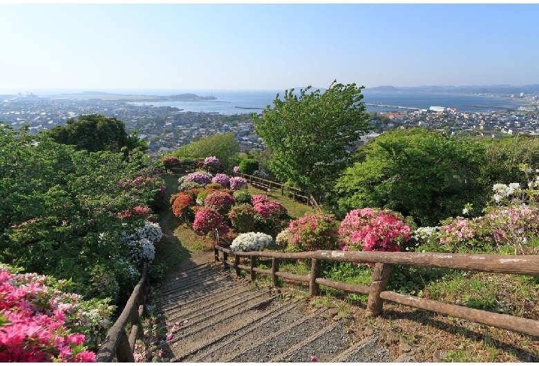 館山城（城山公園）