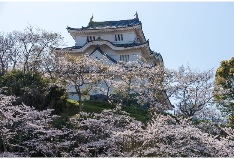 大多喜城（千葉県立中央博物館）