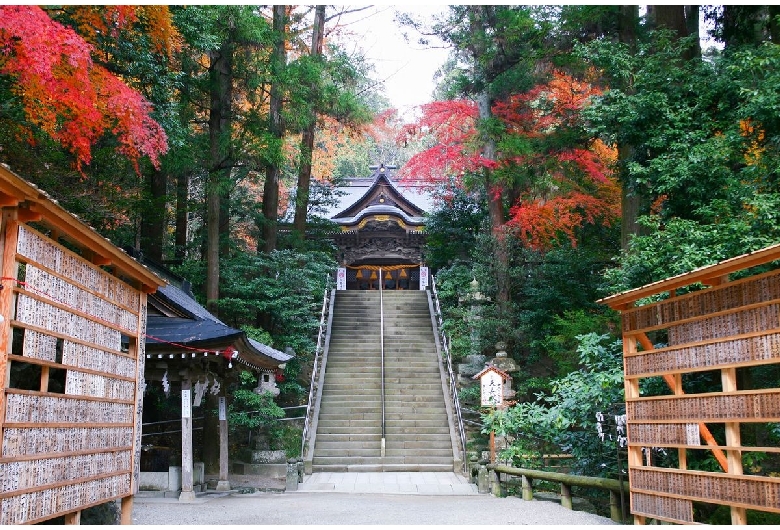 宝登山神社