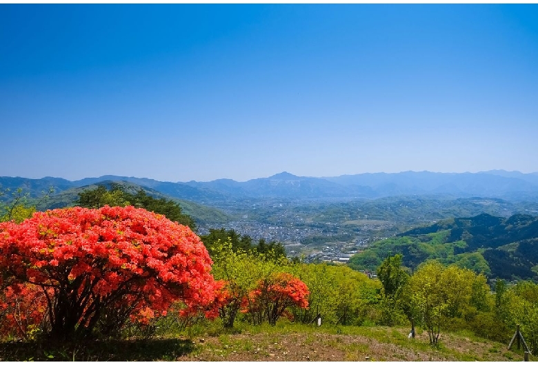 宝登山ロープウェイ