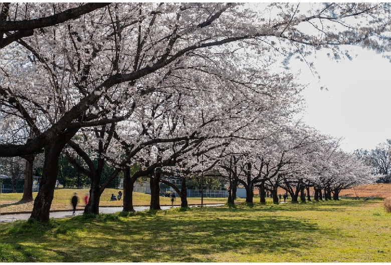 川越水上公園