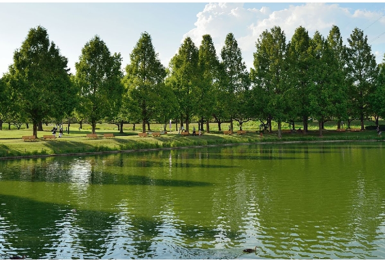 川越水上公園