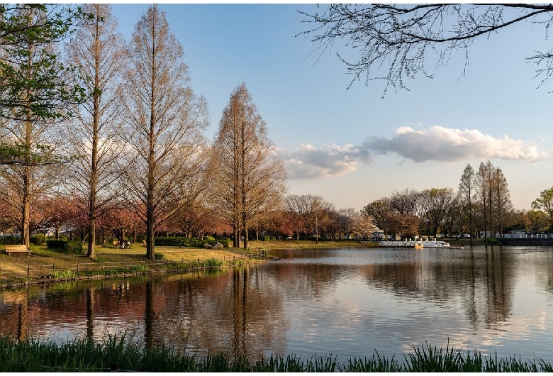 川越水上公園