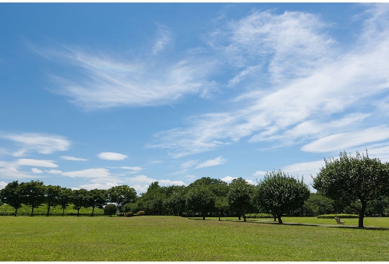 埼玉古墳群（さきたま古墳公園）