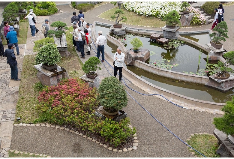 大宮盆栽村（大宮盆栽美術館）