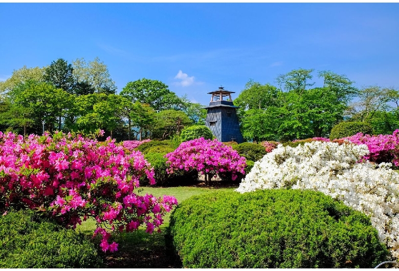 沼田公園（沼田城址）