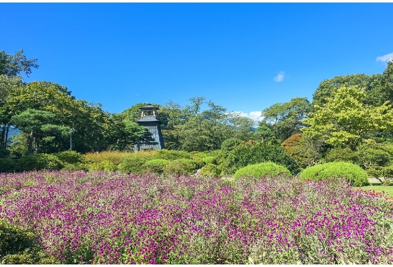 沼田公園（沼田城址）