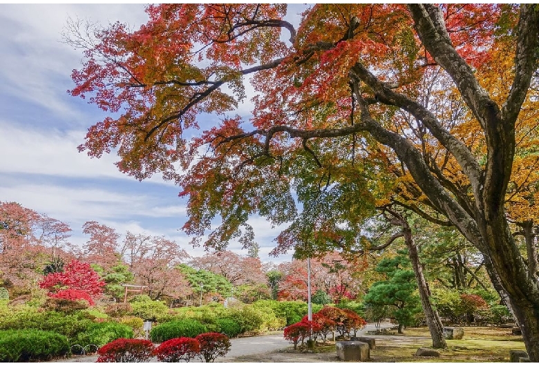 沼田公園（沼田城址）