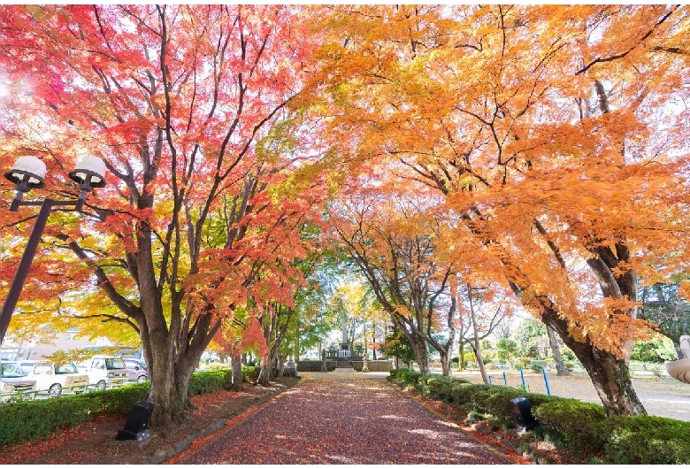 大山参道