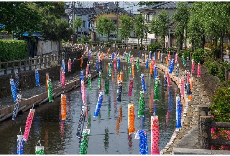 巴波川（蔵の街）