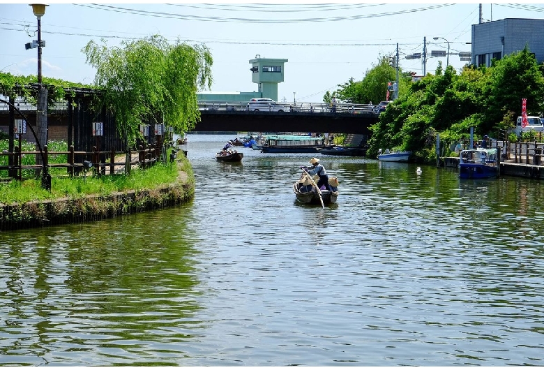 水郷潮来あやめ園