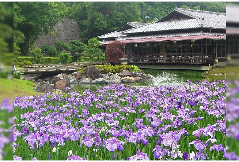 徳川ミュージアム分館 西山荘