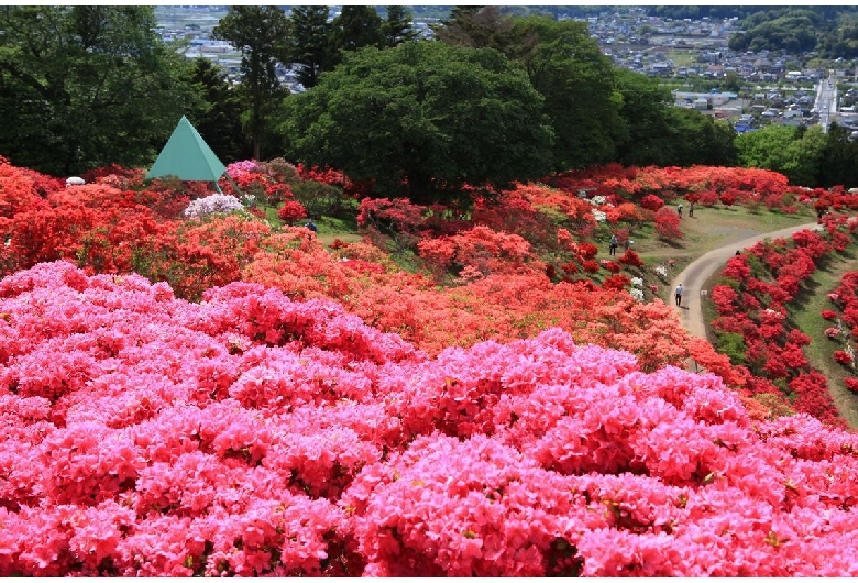 笠間つつじ公園