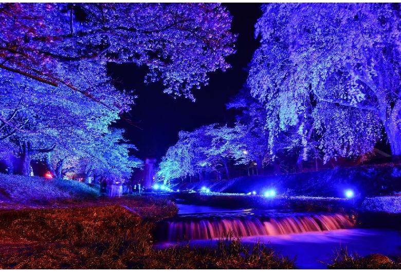 観音寺川