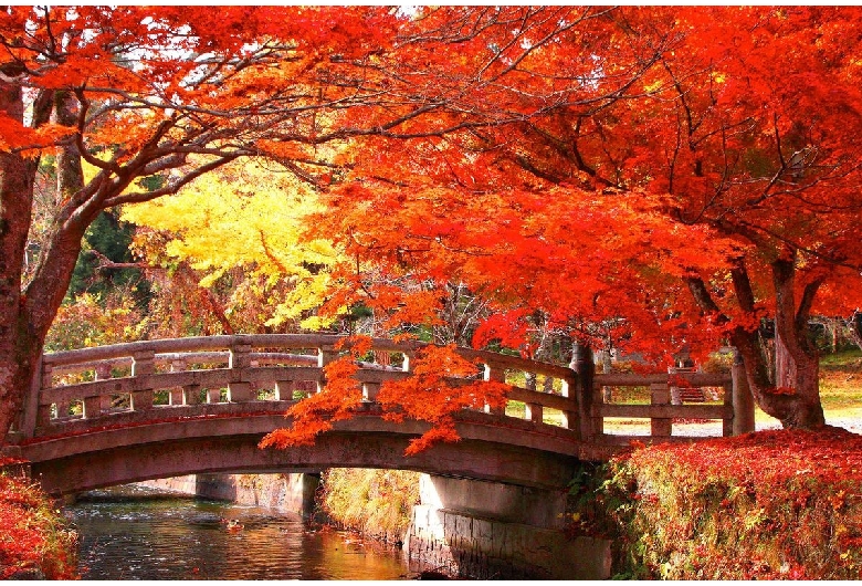 土津神社