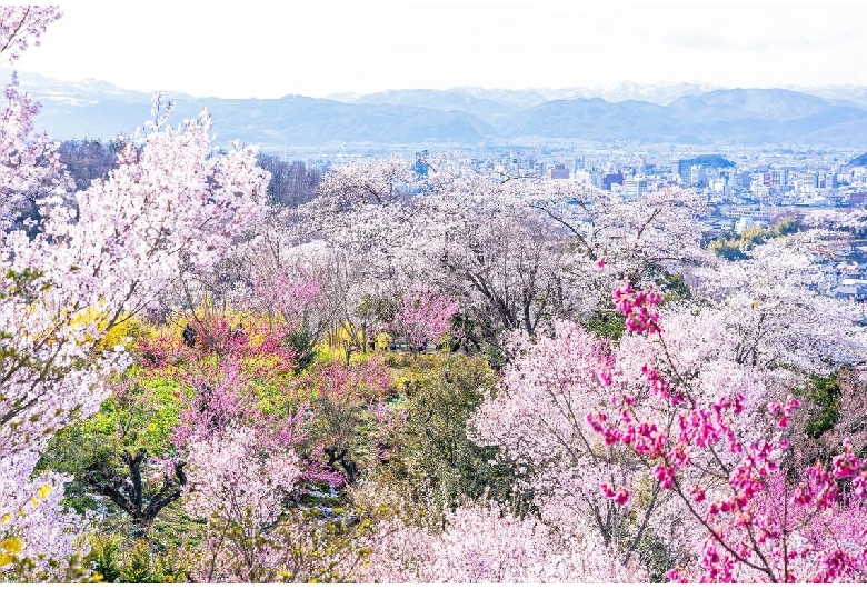 花見山公園