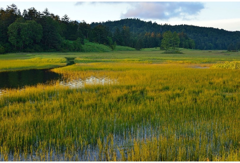 尾瀬（福島県側）