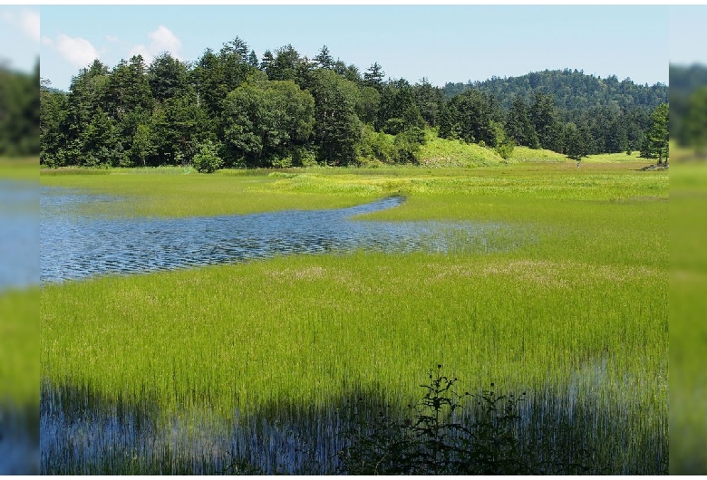 尾瀬（福島県側）