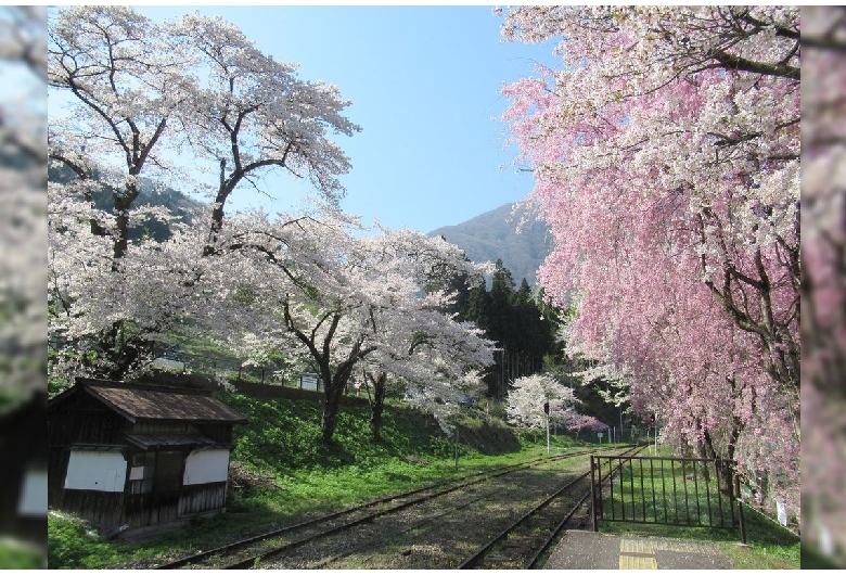 湯野上温泉駅