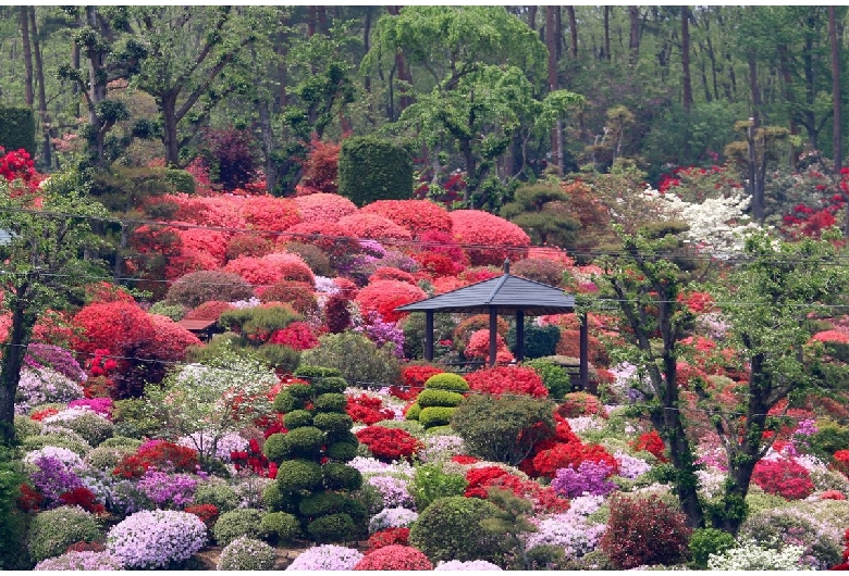 大桑原つつじ園