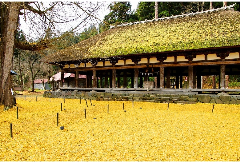 新宮熊野神社