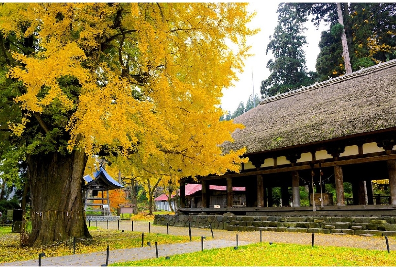 新宮熊野神社