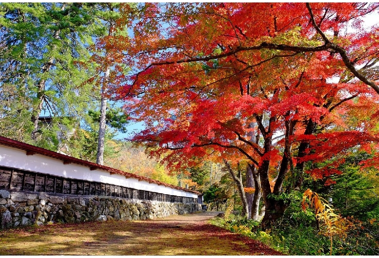 福満虚空蔵菩薩圓蔵寺