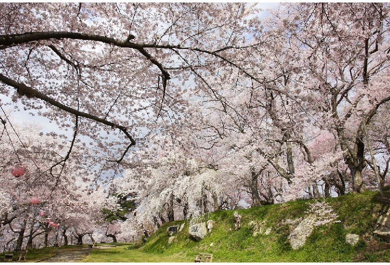 烏帽子山公園