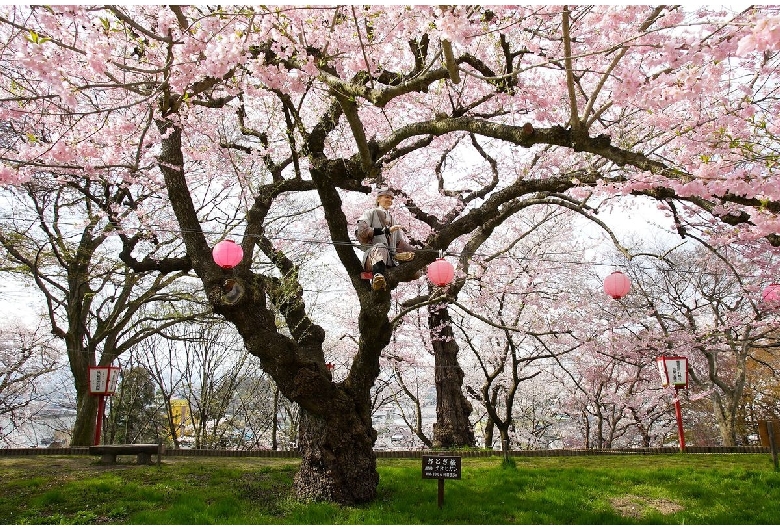 烏帽子山公園