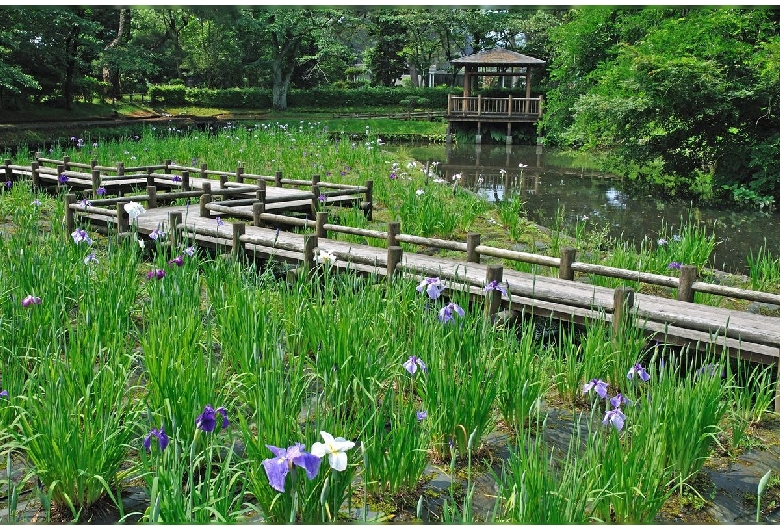 鶴岡公園（大寳館）