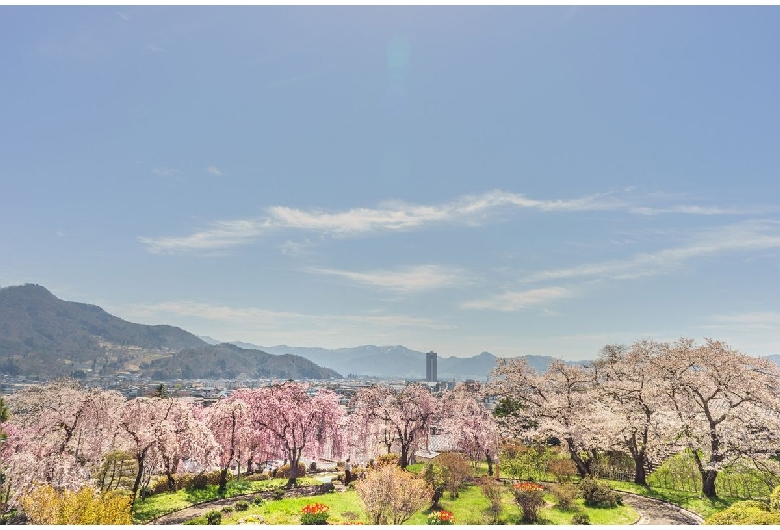 上山城（月岡公園）