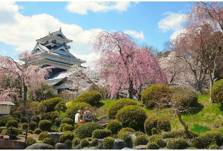 上山城（月岡公園）