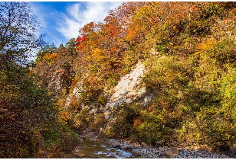 面白山紅葉川渓谷