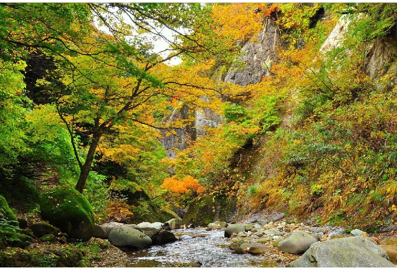 面白山紅葉川渓谷