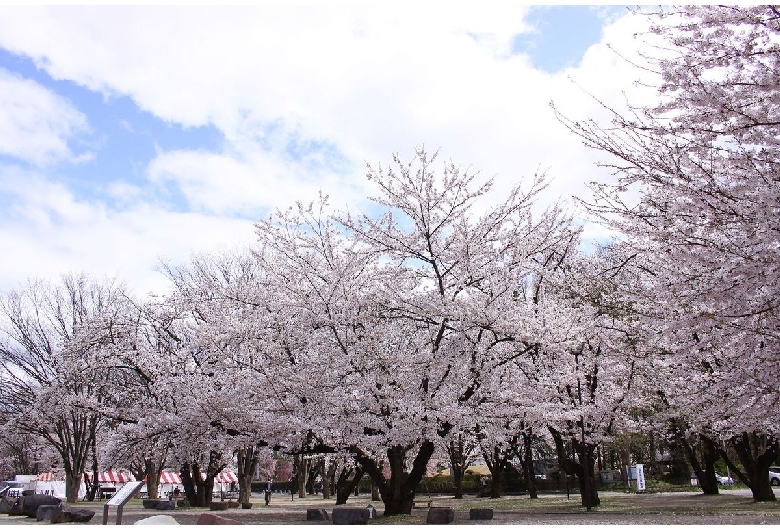 霞城公園（山形城）