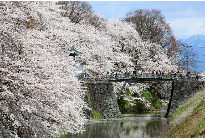 霞城公園（山形城）