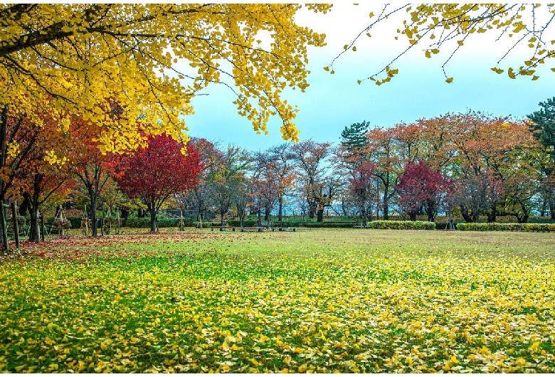 霞城公園（山形城）