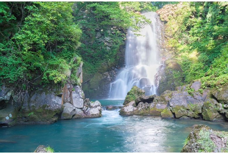 奈曽の白滝