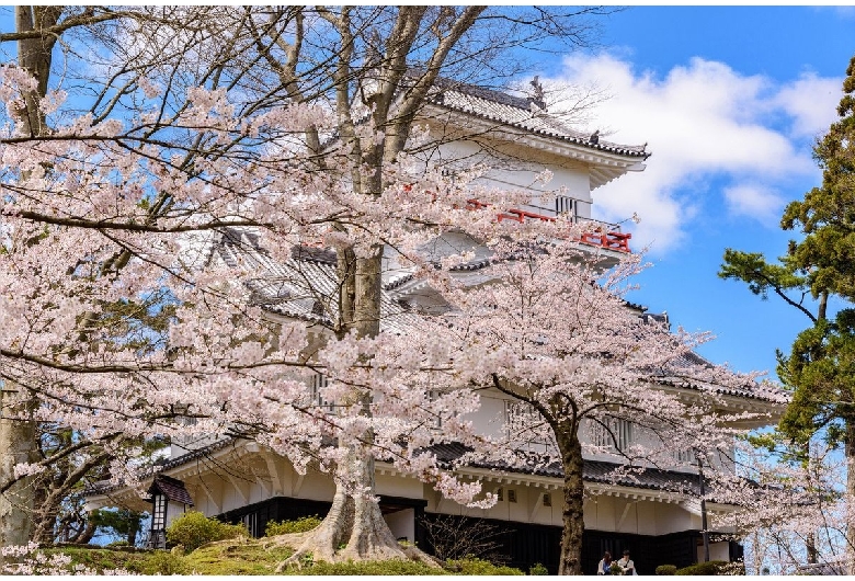 千秋公園（久保田城）