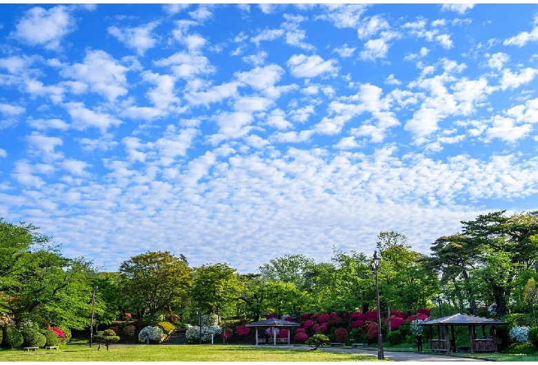 千秋公園（久保田城）