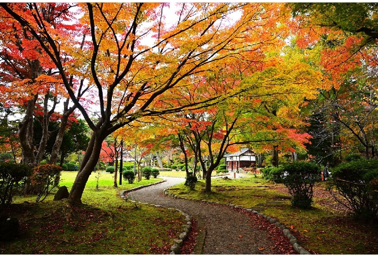 千秋公園（久保田城）