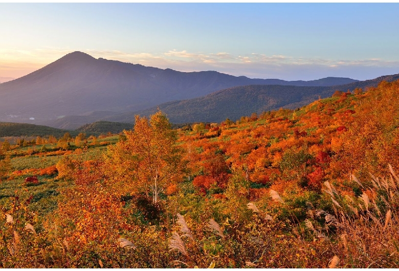 八幡平山頂自然探勝路