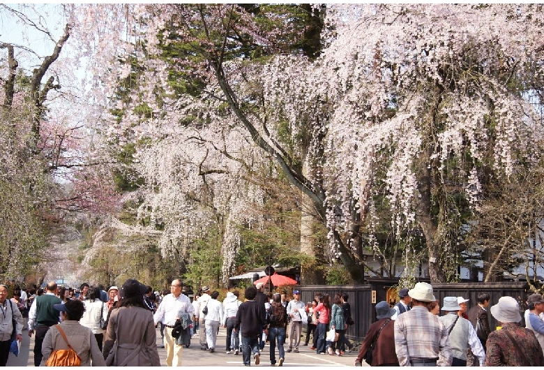 角館（伝統的建造物群保存地区）